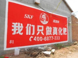 卢氏刷墙广告”蕴含了时代命题