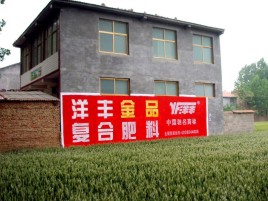 卢氏如何让墙体广告展现最大化效果