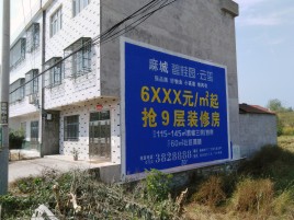 卢氏墙体广告质量分析