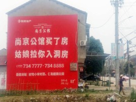 卢氏墙体广告在乡镇、农村市场的媒体优势
