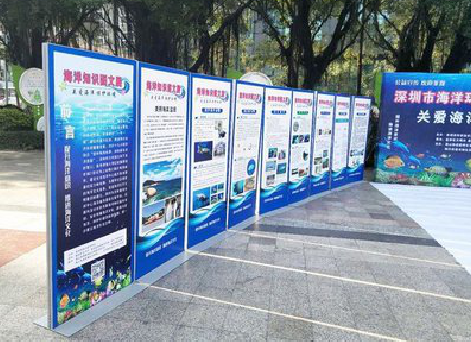 卢氏KT板的种类和知识。